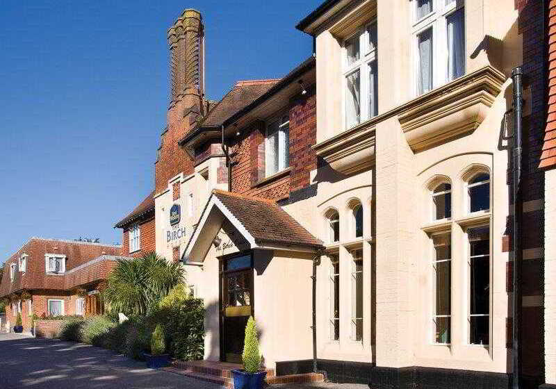 فندق The Birch