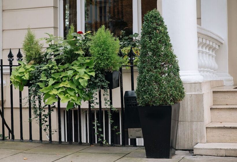 酒店 The Premier Notting Hill