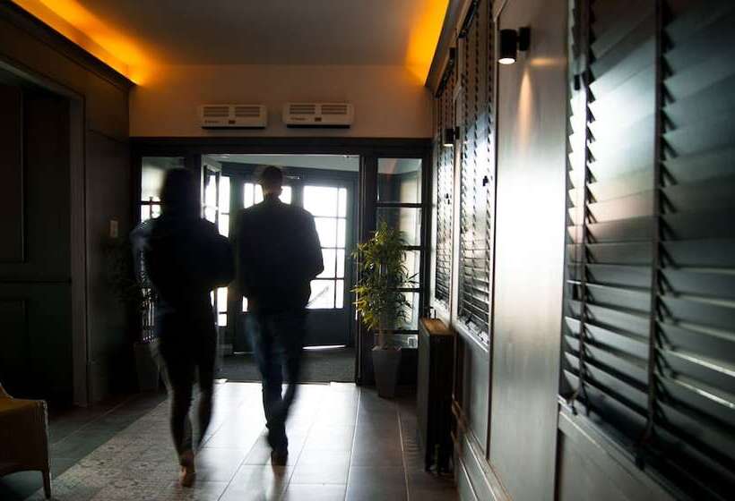 Ocean Beach Hotel & Spa   Oceana Collection