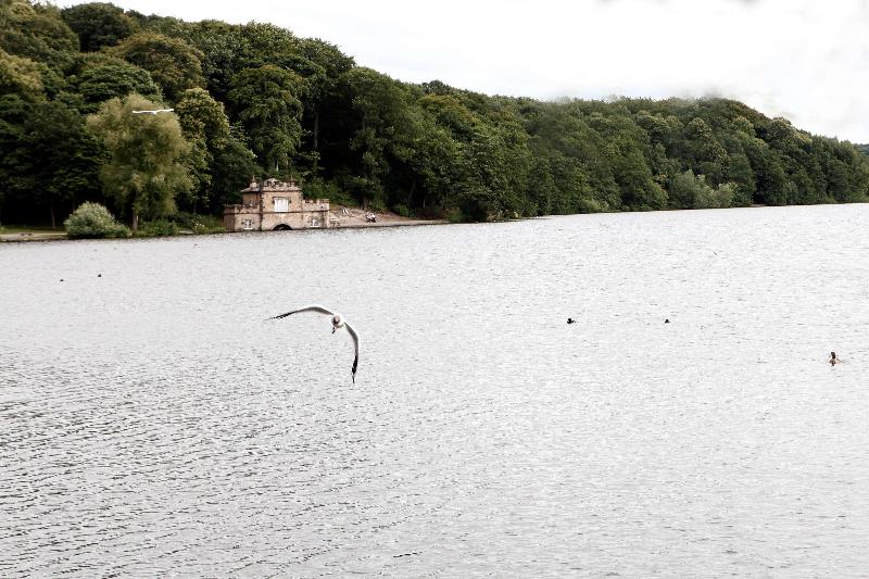 St Pierre, Sure Hotel Collection By Best Western