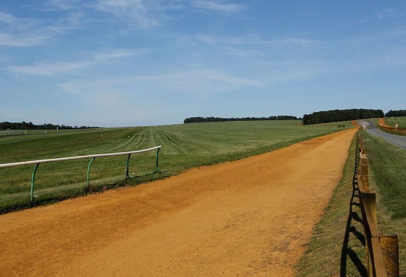 Отель Best Western Heath Court