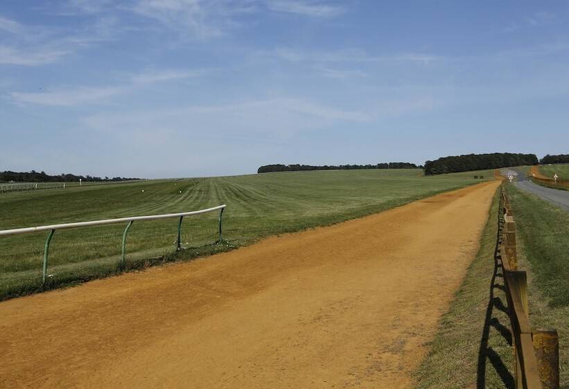 Отель Best Western Heath Court