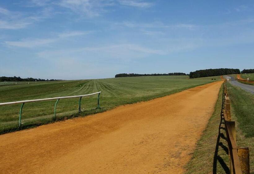 Отель Best Western Heath Court