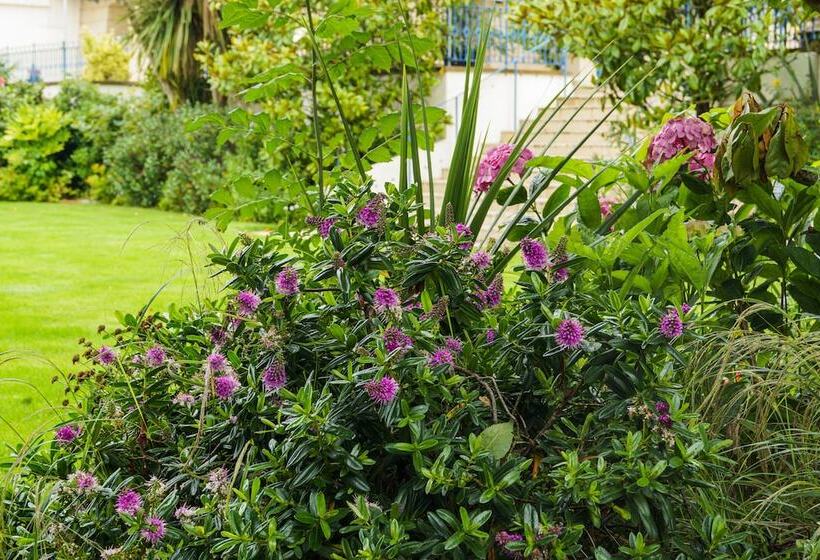 בית מלון כפרי De France