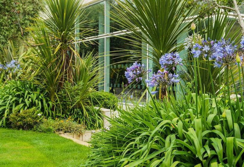 בית מלון כפרי De France