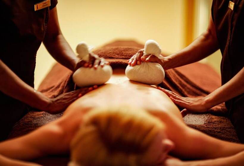 בית מלון כפרי De France