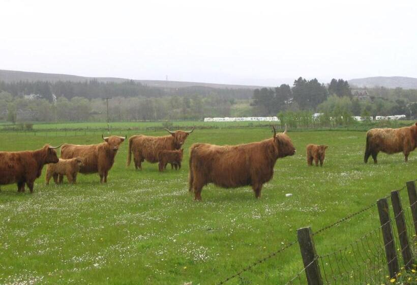 Highlander Hotel ‘a Bespoke Hotel’