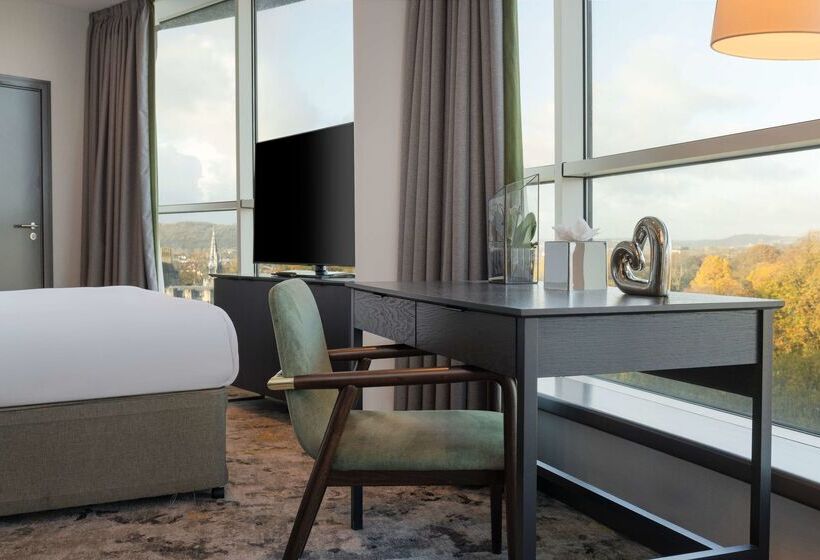 酒店 Hilton Cardiff