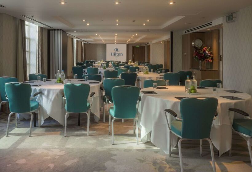 酒店 Hilton Cardiff