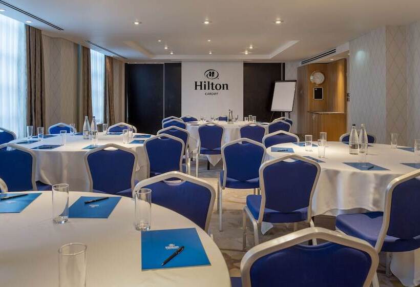 酒店 Hilton Cardiff