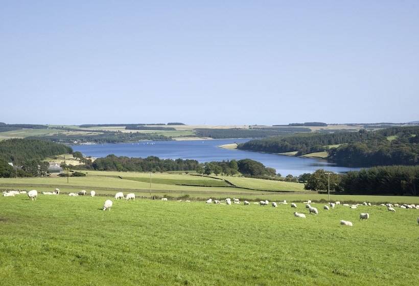 Отель Lord Crewe Arms