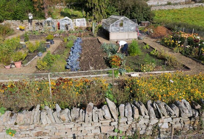 Отель Lord Crewe Arms