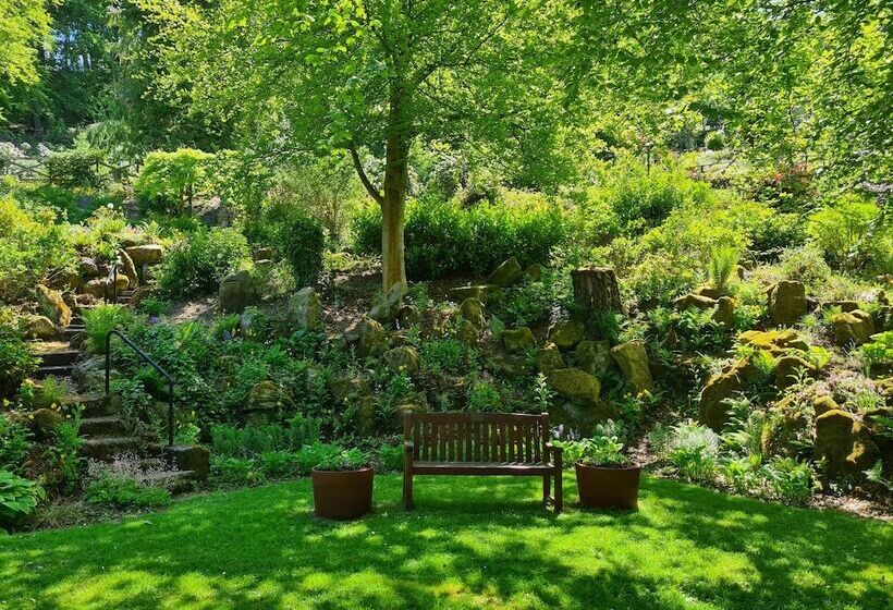 בית מלון כפרי Mansfield House