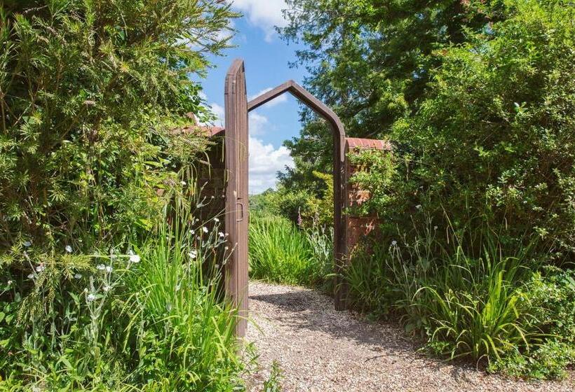 Отель Moorhill House Bed & Breakfast