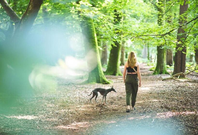 Отель Moorhill House Bed & Breakfast