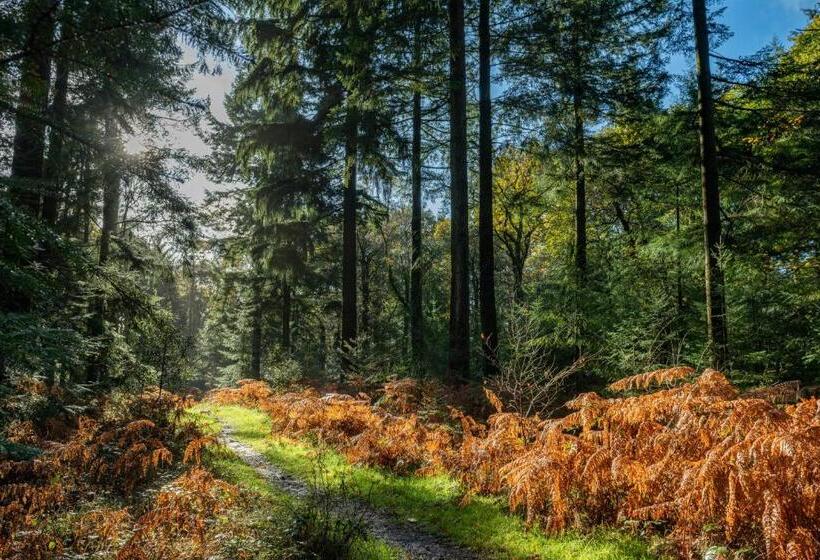 Отель Moorhill House Bed & Breakfast