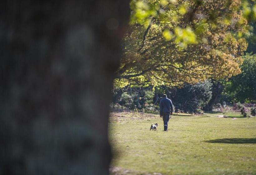 Отель Moorhill House Bed & Breakfast