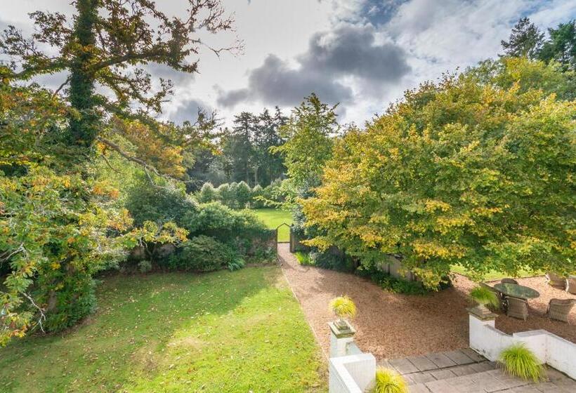 Отель Moorhill House Bed & Breakfast