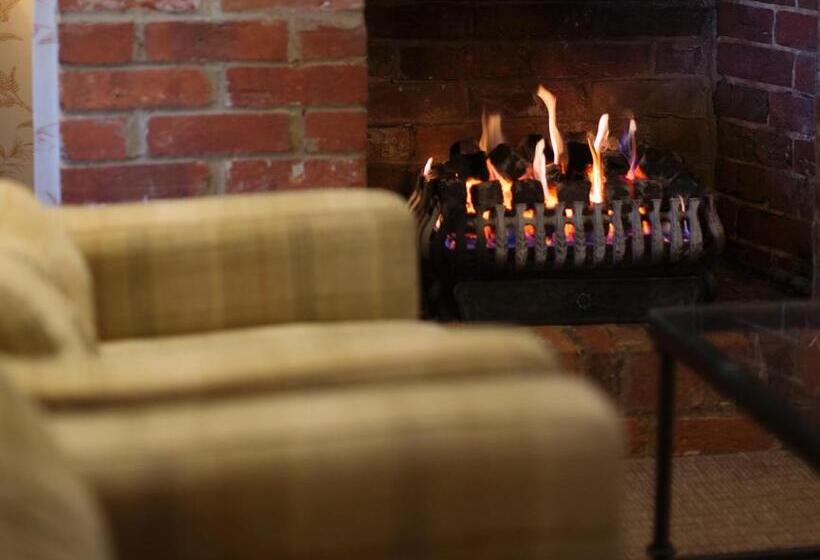 Отель Moorhill House Bed & Breakfast