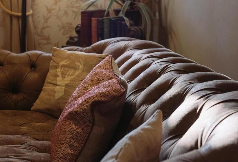 Отель Moorhill House Bed & Breakfast