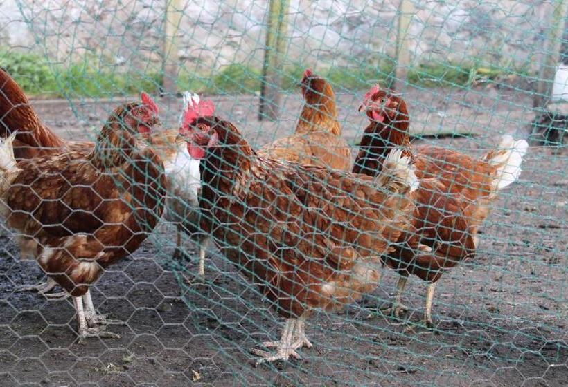 فندق Moyness House