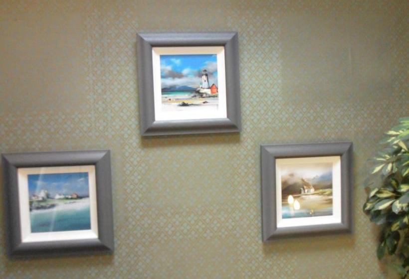 בית מלון כפרי Moyness House