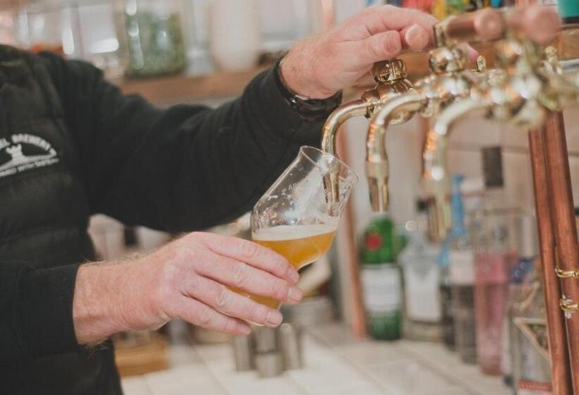 Отель Norfolk Arms