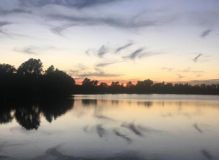 בית מלון כפרי The Lion