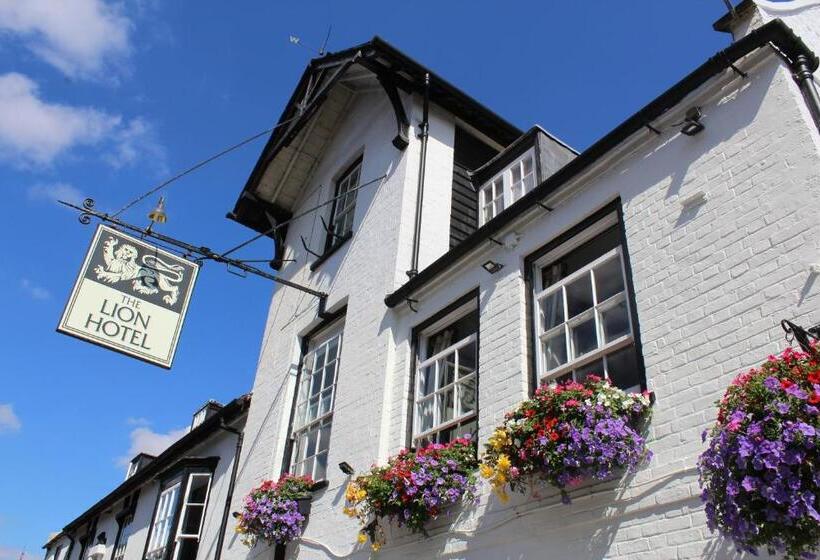 בית מלון כפרי The Lion
