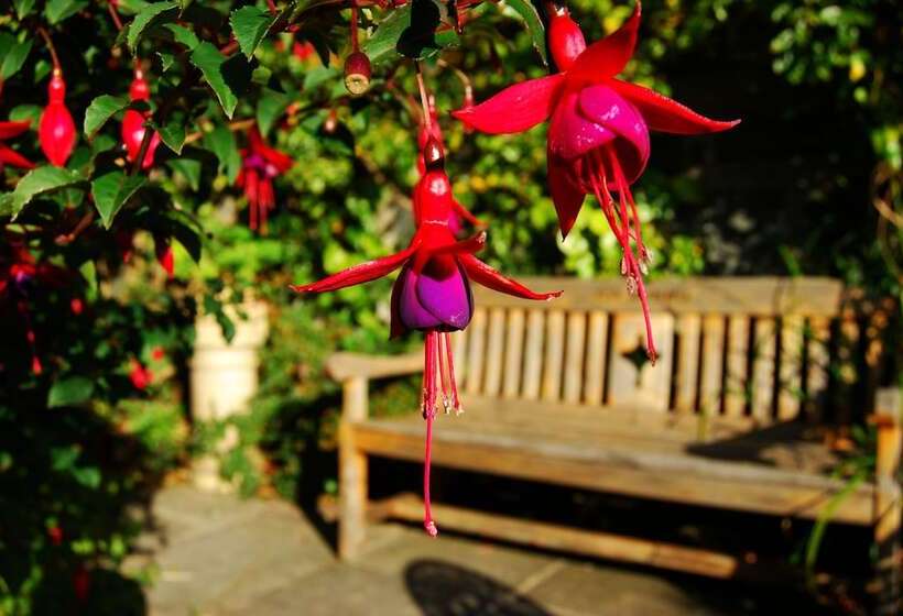 Lion Hotel & Studio Apartments