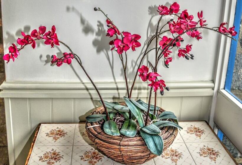 Lion Hotel & Studio Apartments