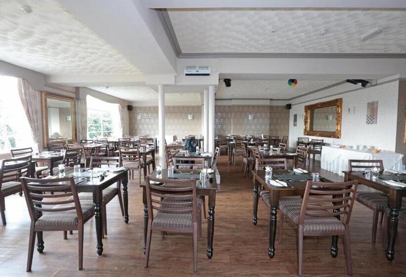 Lion Hotel & Studio Apartments