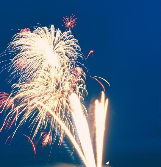 Lion Hotel & Studio Apartments