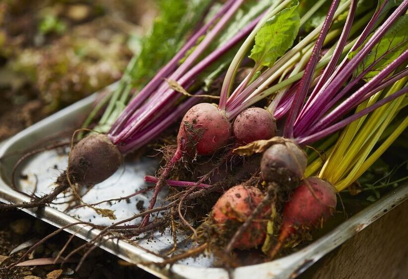 호텔 The Methuen Arms