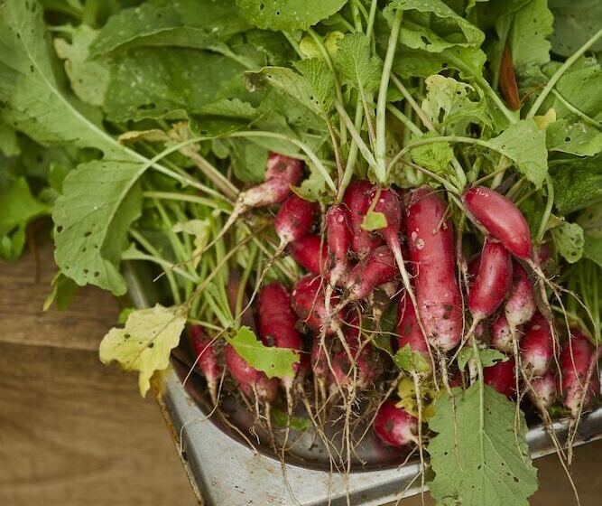 호텔 The Methuen Arms