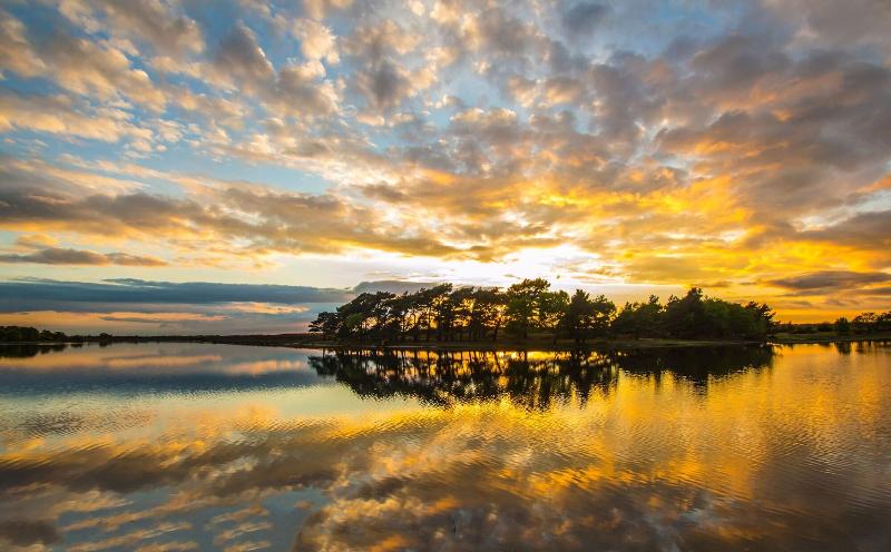 酒店 The Montagu Arms