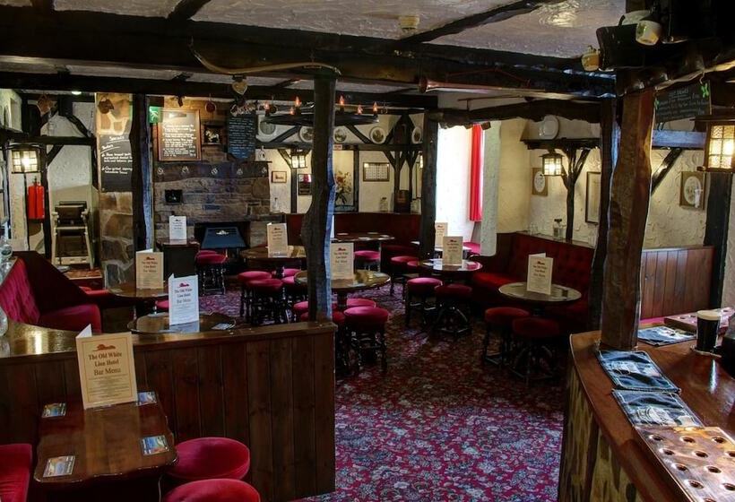 Отель The Old White Lion