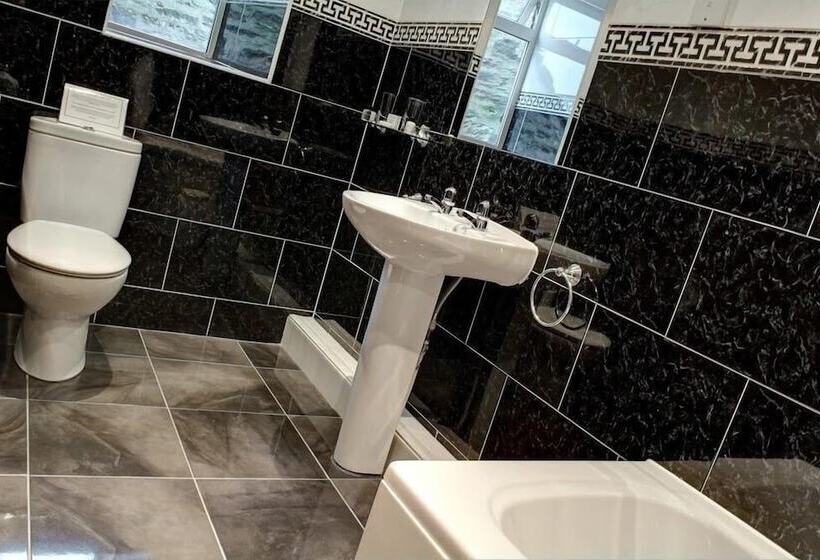 Отель The Old White Lion