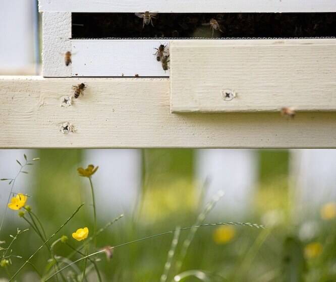 Отель Voco Oxford Thames, An Ihg