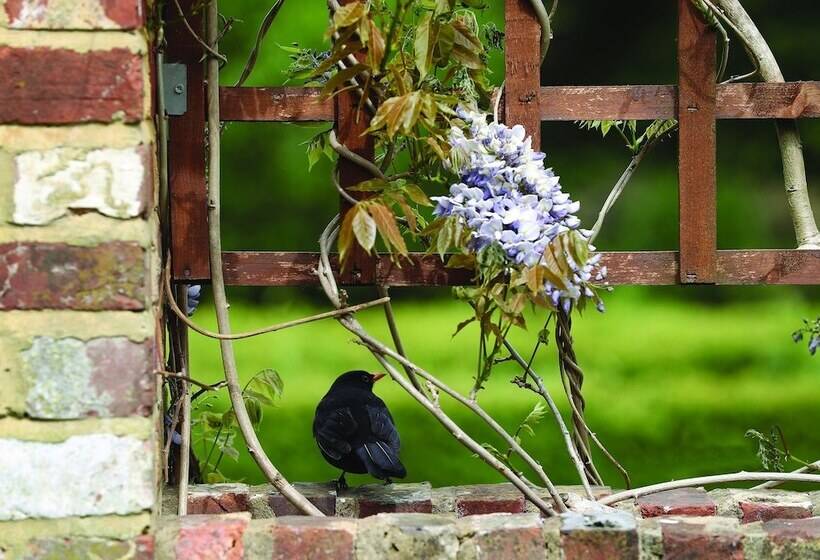 Langshott Manor Luxury Hotel Gatwick