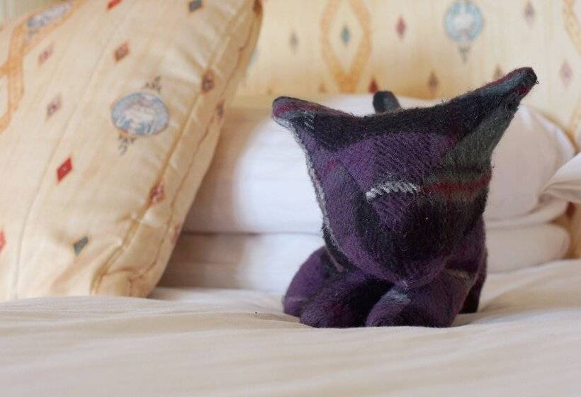 Отель Mansfield Castle