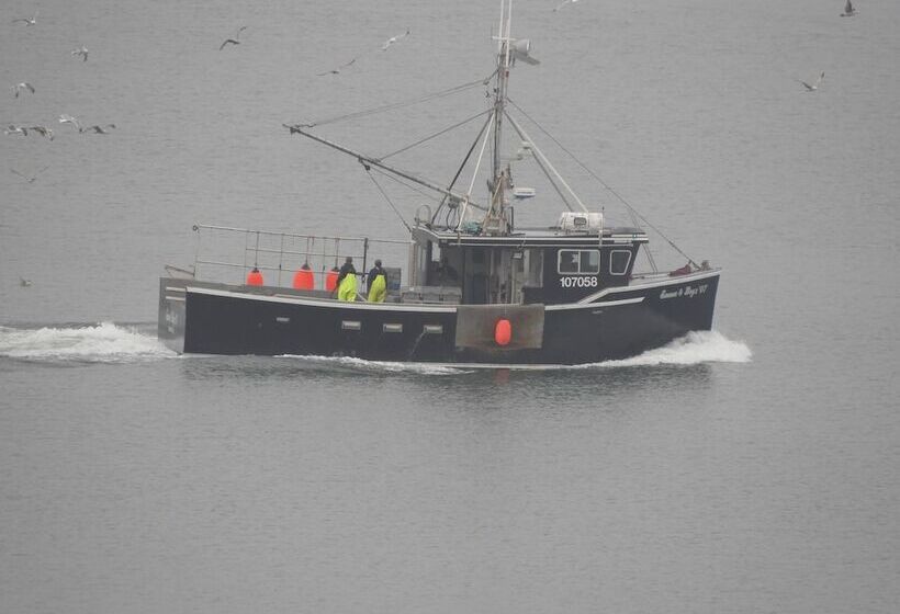 فندق Admiral Digby Inn Restaurant And Cottages