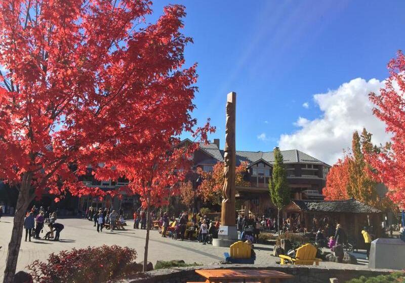 酒店 Alpenglow Lodge By Mountainview