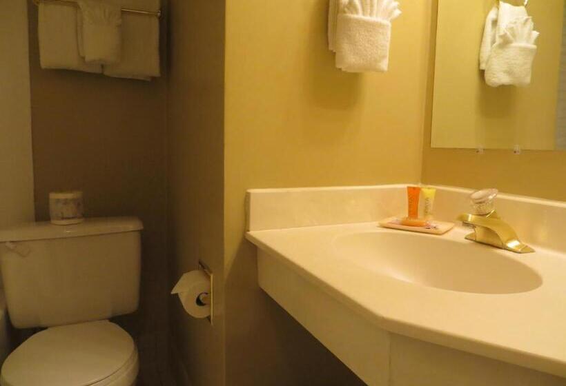 Отель Athabasca