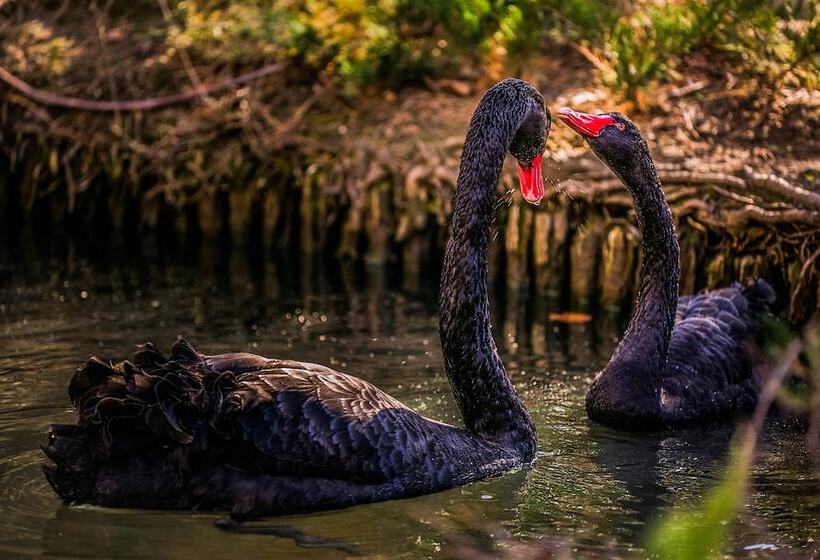 酒店 Marinela Sofia