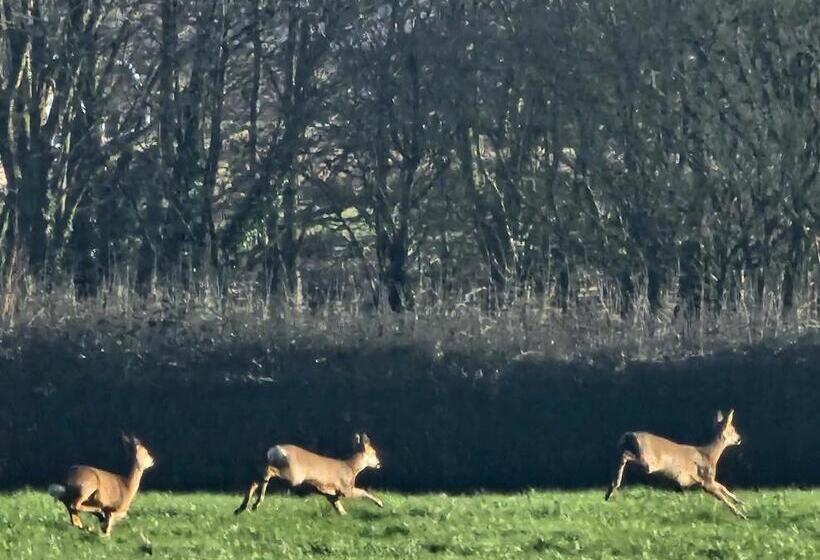 ホテル Schoolhouse Restaurant And