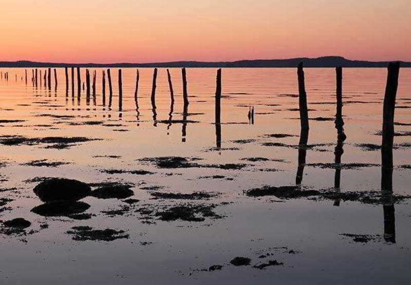 Отель The Algonquin Resort St. Andrews Bythesea, Autograph Collection