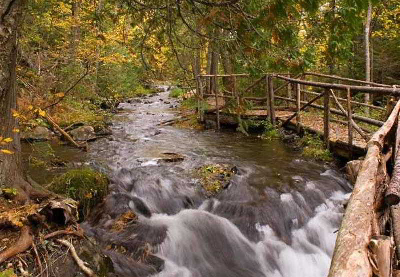 Отель The Algonquin Resort St. Andrews Bythesea, Autograph Collection
