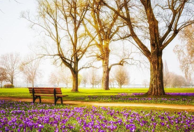 هتل The Kimberley