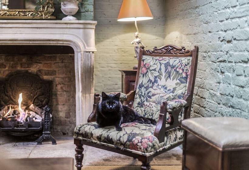 فندق The Rookery